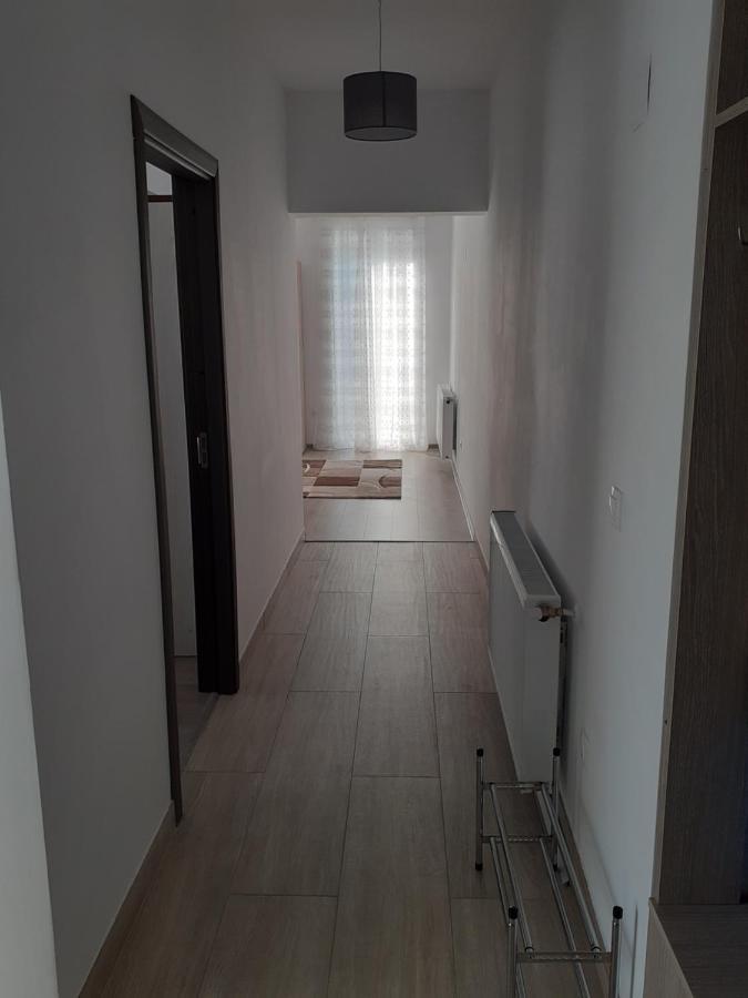 Sara Apartman Livezeni  Εξωτερικό φωτογραφία