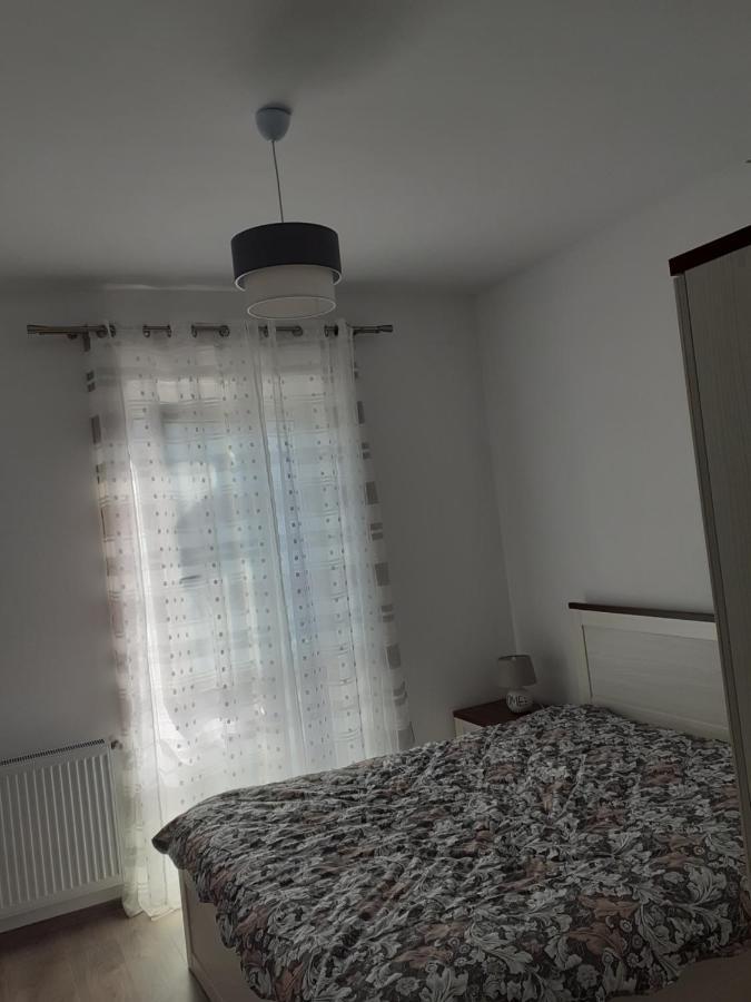 Sara Apartman Livezeni  Εξωτερικό φωτογραφία